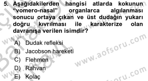 Hayvan Davranışları ve Refahı Dersi 2016 - 2017 Yılı (Vize) Ara Sınav Soruları 5. Soru