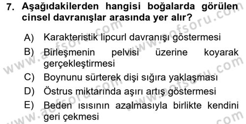 Hayvan Davranışları ve Refahı Dersi 2016 - 2017 Yılı (Vize) Ara Sınav Soruları 7. Soru