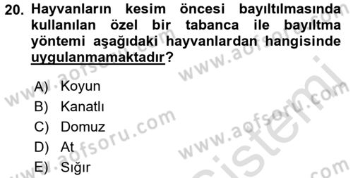 Hayvan Davranışları ve Refahı Dersi 2016 - 2017 Yılı (Final) Dönem Sonu Sınav Soruları 20. Soru