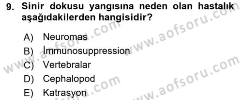 Hayvan Davranışları ve Refahı Dersi 2016 - 2017 Yılı (Final) Dönem Sonu Sınav Soruları 9. Soru