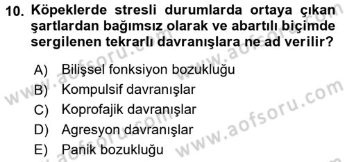 Hayvan Davranışları ve Refahı Dersi 2017 - 2018 Yılı 3 Ders Sınav Soruları 10. Soru