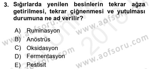 Hayvan Davranışları ve Refahı Dersi 2017 - 2018 Yılı 3 Ders Sınav Soruları 3. Soru