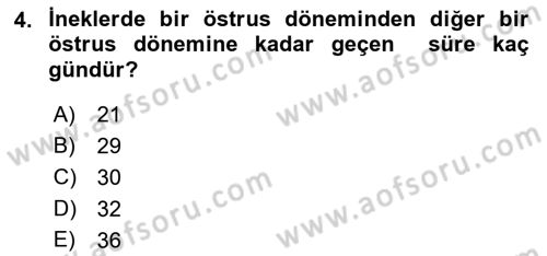 Hayvan Davranışları ve Refahı Dersi 2017 - 2018 Yılı 3 Ders Sınav Soruları 4. Soru