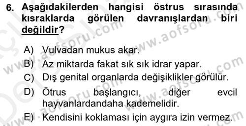 Hayvan Davranışları ve Refahı Dersi 2017 - 2018 Yılı 3 Ders Sınav Soruları 6. Soru