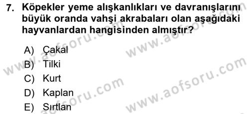Hayvan Davranışları ve Refahı Dersi 2017 - 2018 Yılı 3 Ders Sınav Soruları 7. Soru