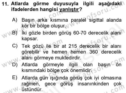 Hayvan Davranışları ve Refahı Dersi 2017 - 2018 Yılı (Vize) Ara Sınav Soruları 11. Soru