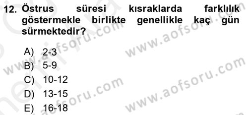 Hayvan Davranışları ve Refahı Dersi 2017 - 2018 Yılı (Vize) Ara Sınav Soruları 12. Soru