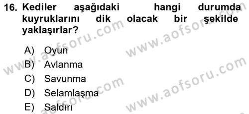 Hayvan Davranışları ve Refahı Dersi 2017 - 2018 Yılı (Vize) Ara Sınav Soruları 16. Soru