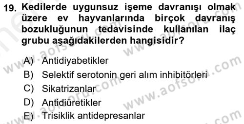 Hayvan Davranışları ve Refahı Dersi 2017 - 2018 Yılı (Vize) Ara Sınav Soruları 19. Soru