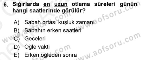 Hayvan Davranışları ve Refahı Dersi 2017 - 2018 Yılı (Vize) Ara Sınav Soruları 6. Soru