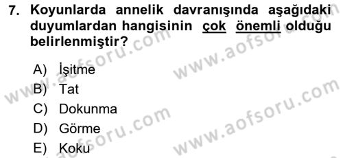 Hayvan Davranışları ve Refahı Dersi 2017 - 2018 Yılı (Vize) Ara Sınav Soruları 7. Soru
