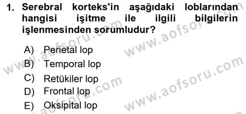 Hayvan Davranışları ve Refahı Dersi 2017 - 2018 Yılı (Final) Dönem Sonu Sınav Soruları 1. Soru