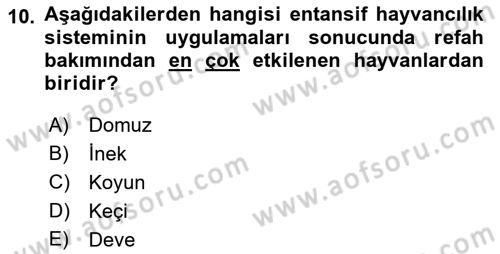 Hayvan Davranışları ve Refahı Dersi 2017 - 2018 Yılı (Final) Dönem Sonu Sınav Soruları 10. Soru