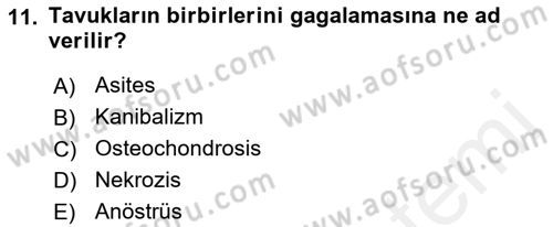 Hayvan Davranışları ve Refahı Dersi 2017 - 2018 Yılı (Final) Dönem Sonu Sınav Soruları 11. Soru