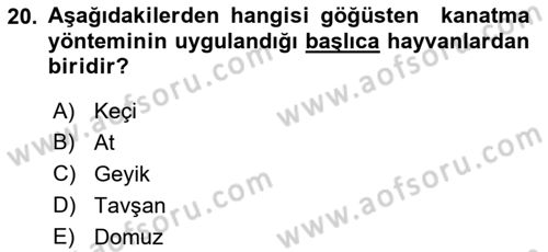 Hayvan Davranışları ve Refahı Dersi 2017 - 2018 Yılı (Final) Dönem Sonu Sınav Soruları 20. Soru