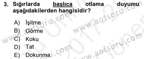 Hayvan Davranışları ve Refahı Dersi 2017 - 2018 Yılı (Final) Dönem Sonu Sınav Soruları 3. Soru