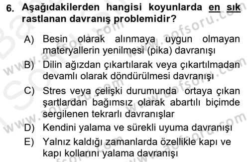 Hayvan Davranışları ve Refahı Dersi 2017 - 2018 Yılı (Final) Dönem Sonu Sınav Soruları 6. Soru