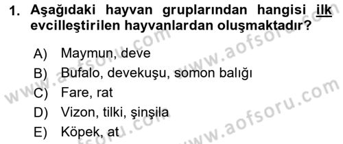 Hayvan Davranışları ve Refahı Dersi 2018 - 2019 Yılı 3 Ders Sınav Soruları 1. Soru
