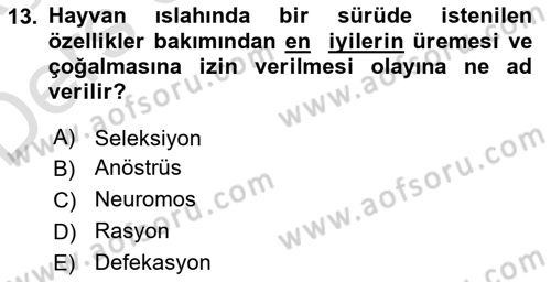 Hayvan Davranışları ve Refahı Dersi 2018 - 2019 Yılı 3 Ders Sınav Soruları 13. Soru
