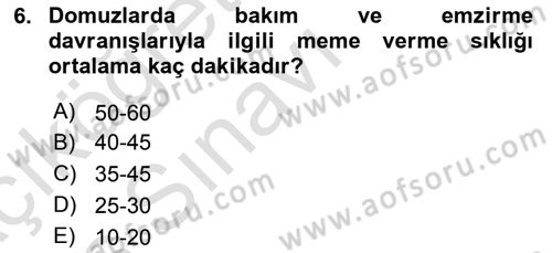 Hayvan Davranışları ve Refahı Dersi 2018 - 2019 Yılı 3 Ders Sınav Soruları 6. Soru