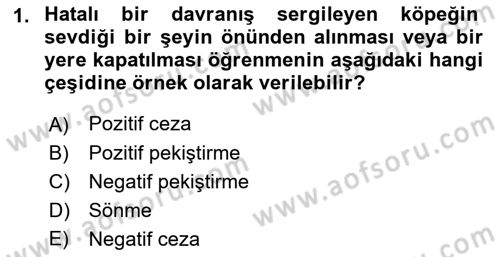 Hayvan Davranışları ve Refahı Dersi 2018 - 2019 Yılı (Vize) Ara Sınav Soruları 1. Soru