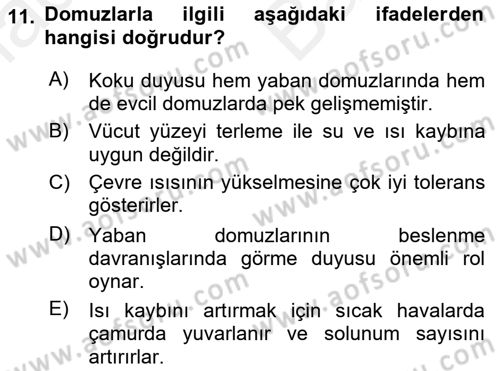 Hayvan Davranışları ve Refahı Dersi 2018 - 2019 Yılı (Vize) Ara Sınav Soruları 11. Soru