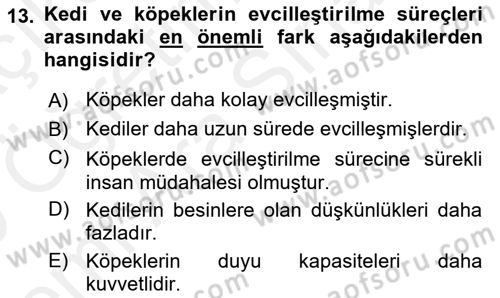 Hayvan Davranışları ve Refahı Dersi 2018 - 2019 Yılı (Vize) Ara Sınav Soruları 13. Soru