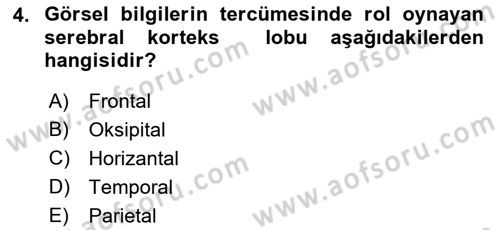 Hayvan Davranışları ve Refahı Dersi 2018 - 2019 Yılı (Vize) Ara Sınav Soruları 4. Soru