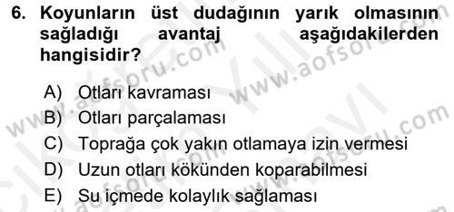 Hayvan Davranışları ve Refahı Dersi 2018 - 2019 Yılı (Vize) Ara Sınav Soruları 6. Soru
