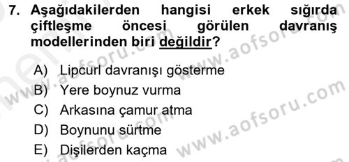 Hayvan Davranışları ve Refahı Dersi 2018 - 2019 Yılı (Vize) Ara Sınav Soruları 7. Soru