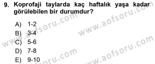 Hayvan Davranışları ve Refahı Dersi 2018 - 2019 Yılı (Vize) Ara Sınav Soruları 9. Soru