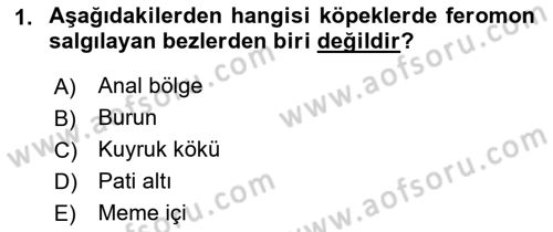 Hayvan Davranışları ve Refahı Dersi 2018 - 2019 Yılı Yaz Okulu Sınav Soruları 1. Soru