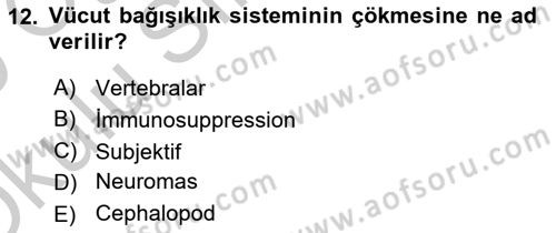 Hayvan Davranışları ve Refahı Dersi 2018 - 2019 Yılı Yaz Okulu Sınav Soruları 12. Soru