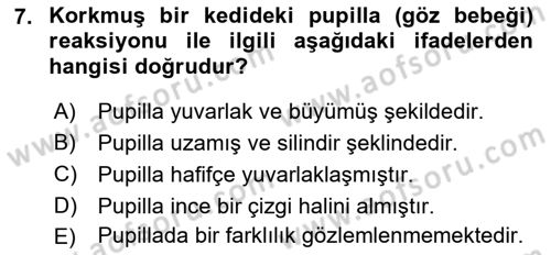 Hayvan Davranışları ve Refahı Dersi 2018 - 2019 Yılı Yaz Okulu Sınav Soruları 7. Soru