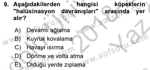 Hayvan Davranışları ve Refahı Dersi 2018 - 2019 Yılı Yaz Okulu Sınav Soruları 9. Soru