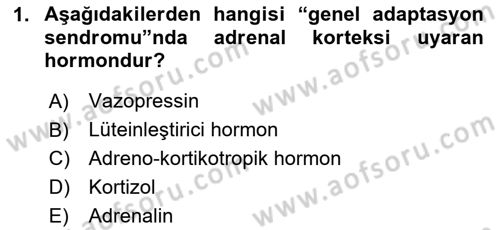 Hayvan Davranışları ve Refahı Dersi 2020 - 2021 Yılı Yaz Okulu Sınav Soruları 1. Soru