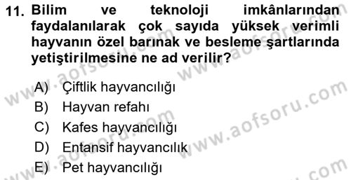 Hayvan Davranışları ve Refahı Dersi 2020 - 2021 Yılı Yaz Okulu Sınav Soruları 11. Soru