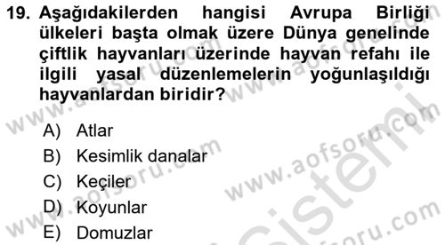 Hayvan Davranışları ve Refahı Dersi 2020 - 2021 Yılı Yaz Okulu Sınav Soruları 19. Soru