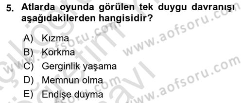 Hayvan Davranışları ve Refahı Dersi 2020 - 2021 Yılı Yaz Okulu Sınav Soruları 5. Soru