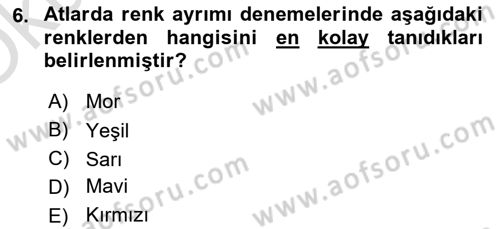 Hayvan Davranışları ve Refahı Dersi 2020 - 2021 Yılı Yaz Okulu Sınav Soruları 6. Soru