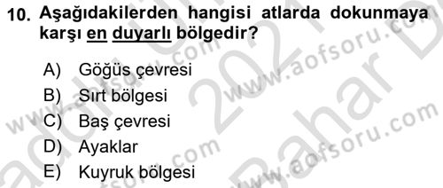 Hayvan Davranışları ve Refahı Dersi 2021 - 2022 Yılı (Vize) Ara Sınav Soruları 10. Soru