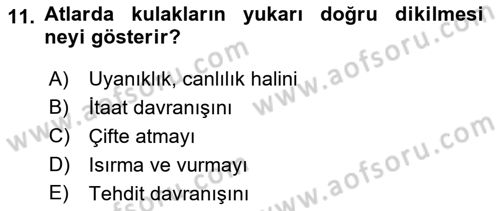 Hayvan Davranışları ve Refahı Dersi 2021 - 2022 Yılı (Vize) Ara Sınav Soruları 11. Soru