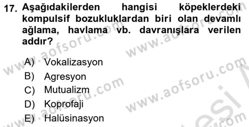 Hayvan Davranışları ve Refahı Dersi 2021 - 2022 Yılı (Vize) Ara Sınav Soruları 17. Soru