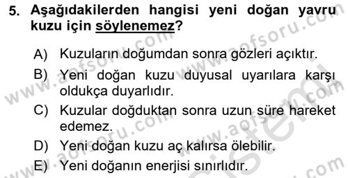 Hayvan Davranışları ve Refahı Dersi 2021 - 2022 Yılı (Vize) Ara Sınav Soruları 5. Soru