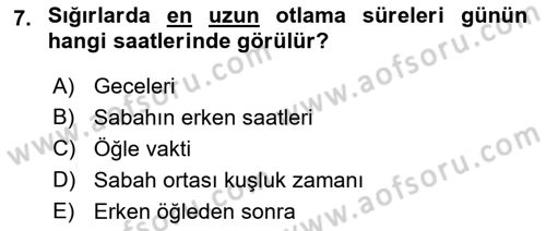 Hayvan Davranışları ve Refahı Dersi 2021 - 2022 Yılı (Vize) Ara Sınav Soruları 7. Soru