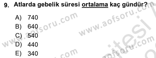 Hayvan Davranışları ve Refahı Dersi 2021 - 2022 Yılı (Vize) Ara Sınav Soruları 9. Soru