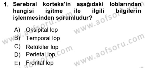 Hayvan Davranışları ve Refahı Dersi 2021 - 2022 Yılı (Final) Dönem Sonu Sınav Soruları 1. Soru