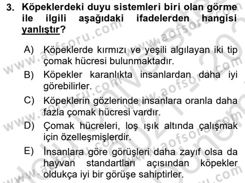 Hayvan Davranışları ve Refahı Dersi 2021 - 2022 Yılı (Final) Dönem Sonu Sınav Soruları 3. Soru
