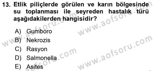 Hayvan Davranışları ve Refahı Dersi 2021 - 2022 Yılı Yaz Okulu Sınav Soruları 13. Soru