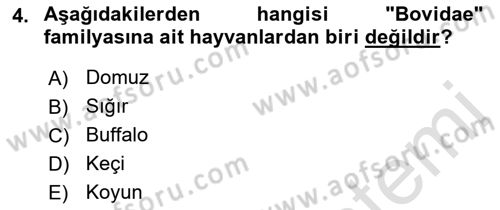 Hayvan Davranışları ve Refahı Dersi 2021 - 2022 Yılı Yaz Okulu Sınav Soruları 4. Soru
